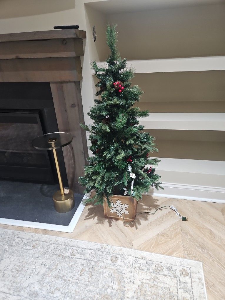 Christmas Treee FREEEE!!