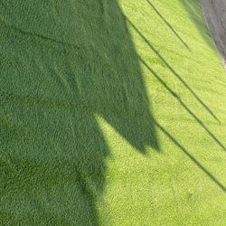Artificial Grass 12x 23.7