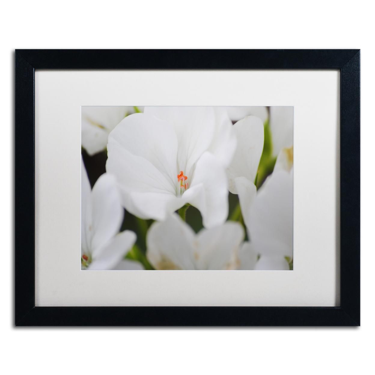 Monica Mize 'Clustered Jewel' Black Wooden Framed Art 18 x 22 Inches