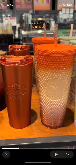Starbucks Cups