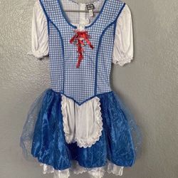 DOROTHY COSTUME DRESS FROM WIZARD OF OZ COSTUME