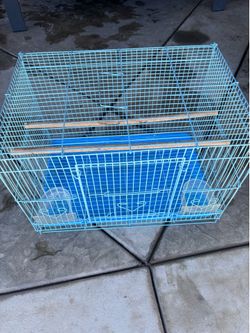 Bird cage