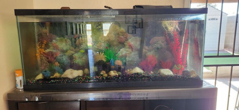 Fish Tank And Decor