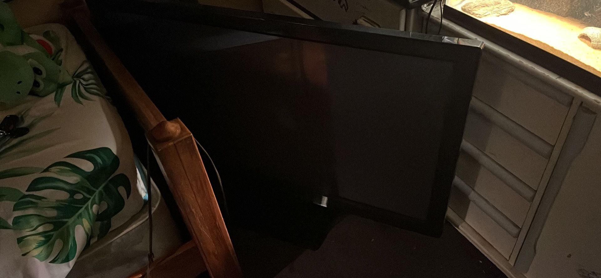 Huge Tv Panasonic