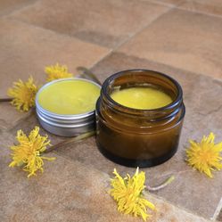 Dandelion Salve