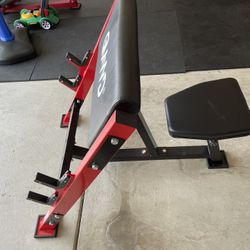 GMWD - Preacher Curl Station