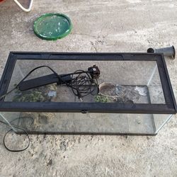 Reptile Terrarium
