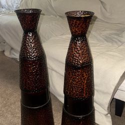 2 Tall Plant Vases $15