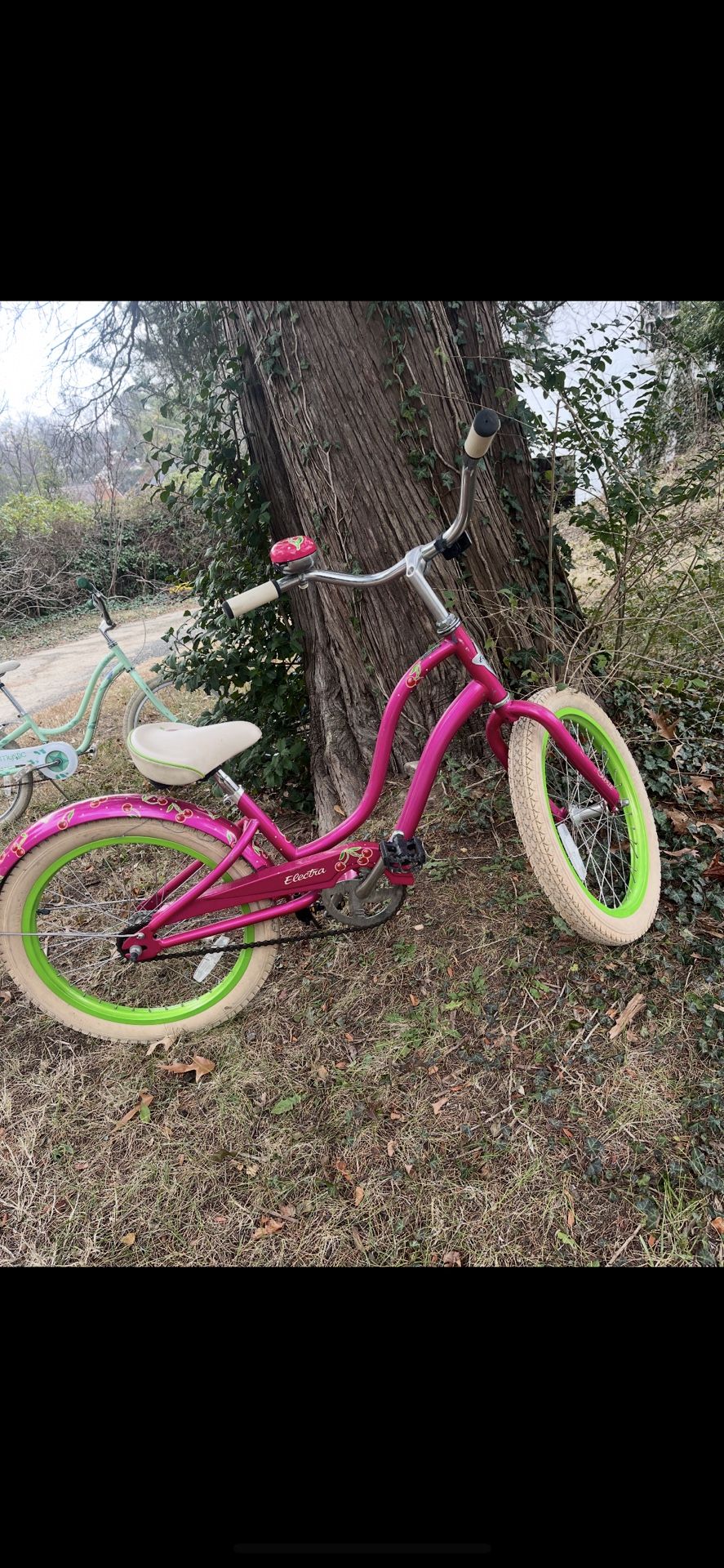 Electra Girls Bike