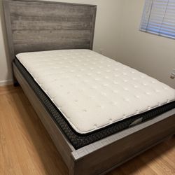 Full Size Bed Frame And Sealy Mattress