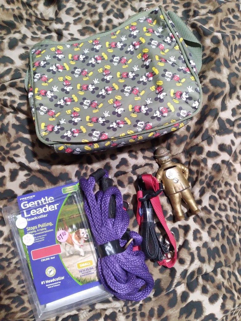 Minnie or micky mouse bag with free dog leashes (3) and  (1) old tyme steel Fatman bank 