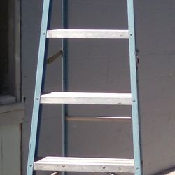 Werner Ladder 8ft 