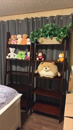 Two Standing Wooden Shelves