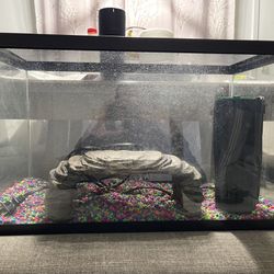 Aqueon Open-Glass Aquarium Tank with Light Attachment