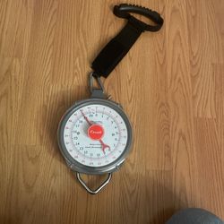 Scale