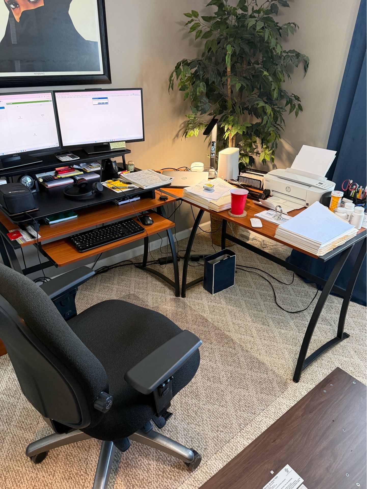 Computer desk and bookcase