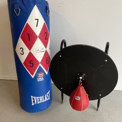 Everlast Boxing Bag And Speed Bag