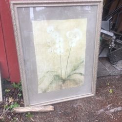Nice Large Wood And Glass Framed Picture Only $35