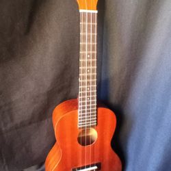 Cordoba Concert Size