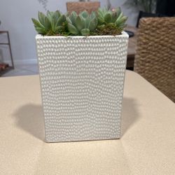 Planter 