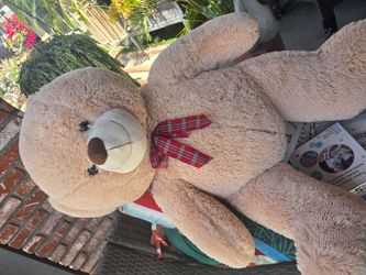 Jumbo size bear
