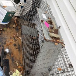 Rat Or Squirrel Trap