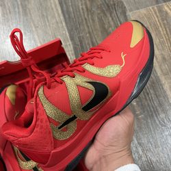 Nike Kobe 5 Protro Year Of The Mamba 