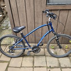 Electra Townie 21D Bike