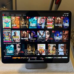 🚨🚨🚨 13 in iPad Pro M4 - 1TB, Wifi+Cellular, Nano-Texture,