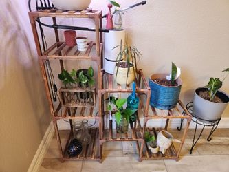 OBO-Plants For Sale And Plant Stand**Updated**