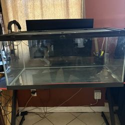 Fish Tank/ Turtle Tank