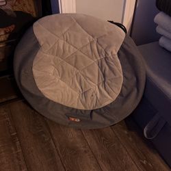 Pet Hammock 