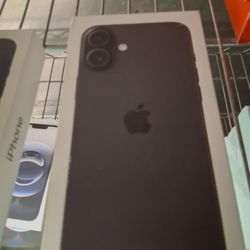16 Plus
