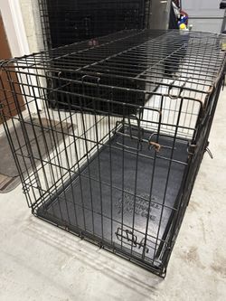 Dog Crate
