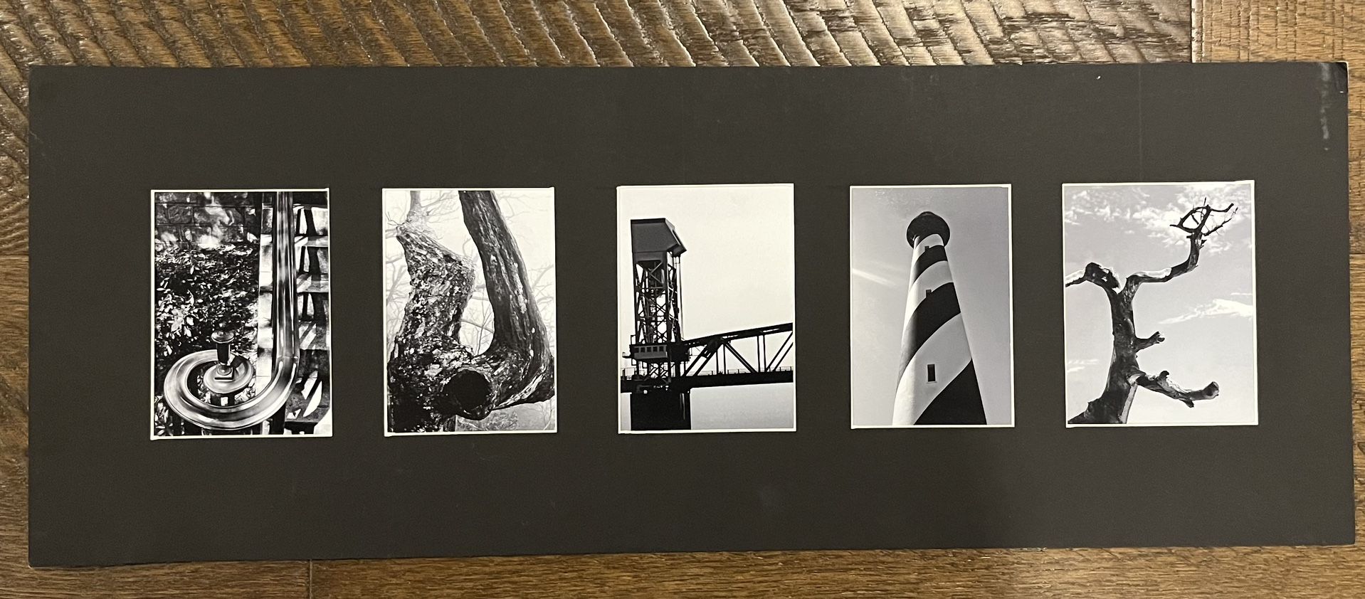 “Julie” Photography Art/Poster