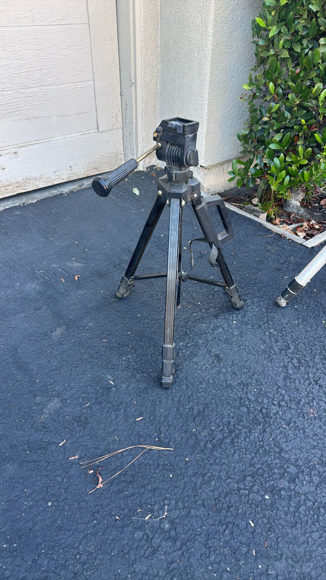 Gold Cost Tripods 