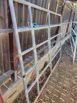Horse Panels Free