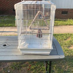 bird cage
