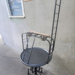 Parrot Stand