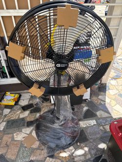 Fan