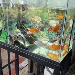 30 Gallon Aquarium,  With Stand 