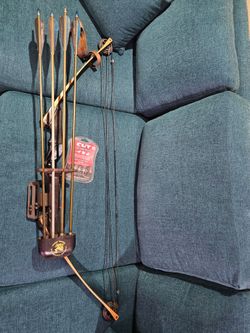 Compound Bow with Arrows and Accessories