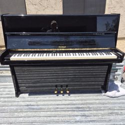 HIGHLY RATED PETROF PIANO CAN DELIVER 