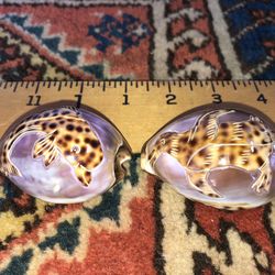 Decorated Sea Shells (Carved? Painted?)