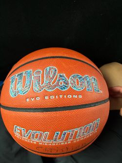 Wilson Evolution Evo Editions Basketball