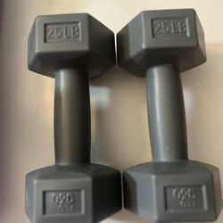 2.5 Lb Weights 