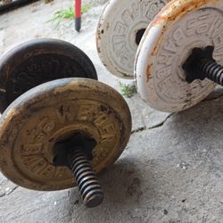 Weider    4x10 =40 Lb. Dumbbell