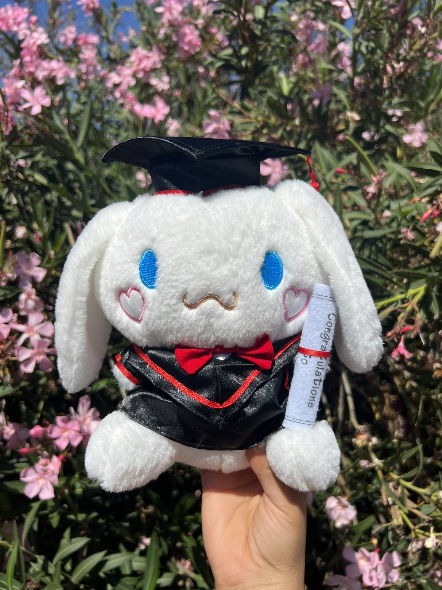 Hello kitty Graduation Plushie