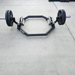 Ez Load Hex Trap Bar And Weights 