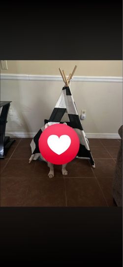 Pet tent